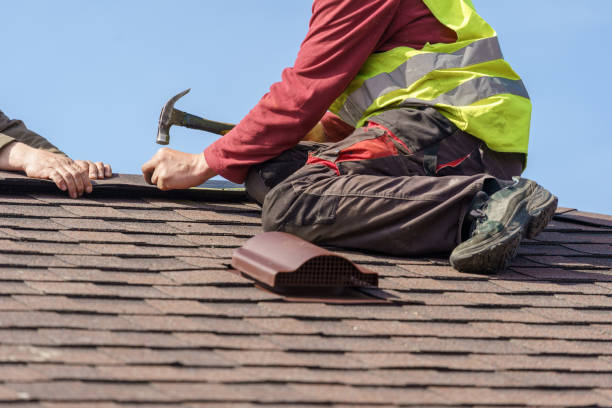 Best Gutter Installation and Roofing  in Dunlap, TN