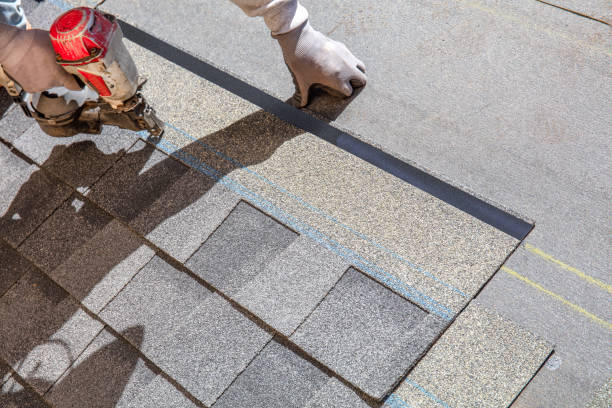 Best Shingle Roofing Installation  in Dunlap, TN